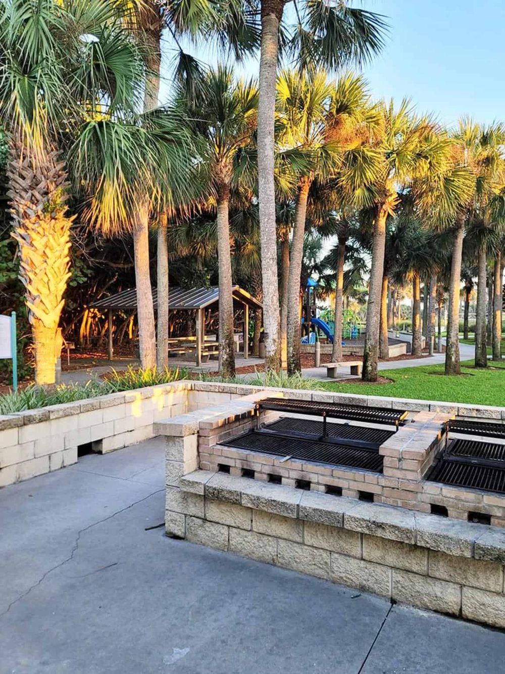 Lush palm trees and outdoor park with barbecue grills and picnic area, perfect for family fun and outdoor activities.