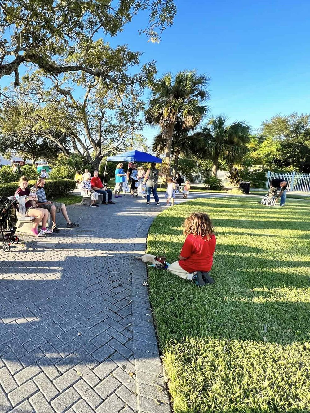 People enjoying a sunny day at a community park with trees and benches.