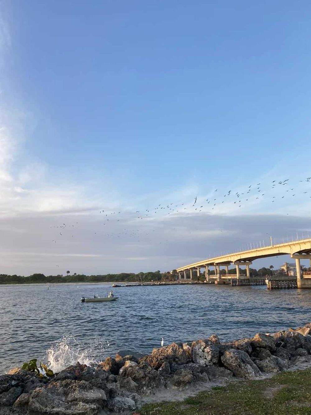 Birds flying over water near a bridge in a coastal landscape.