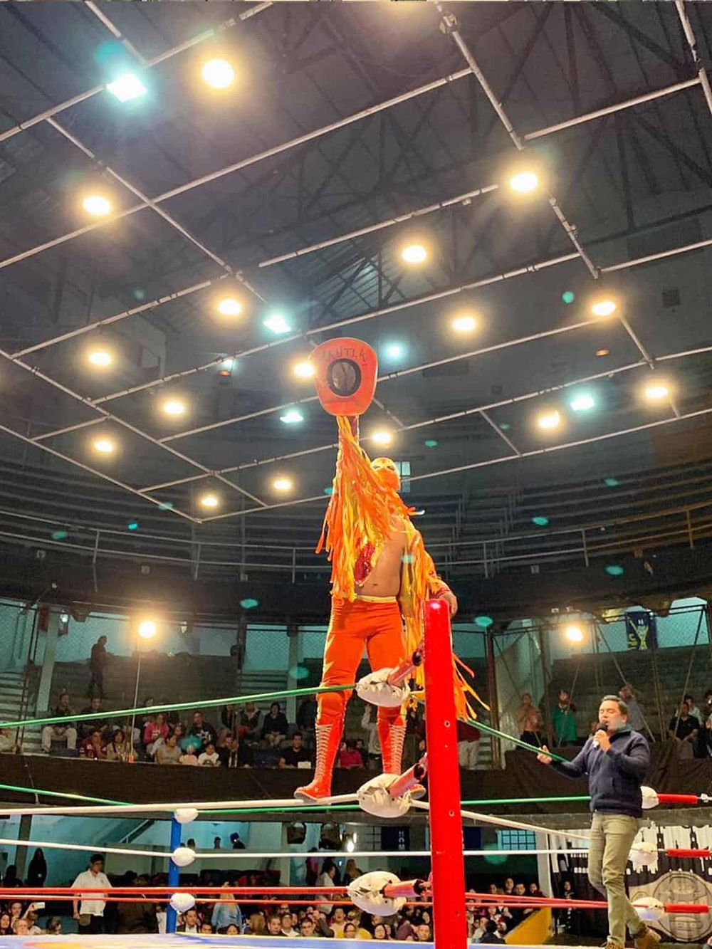 Vibrant luchador performing in a wrestling ring with an energetic crowd, showcasing wrestling culture and event excitement.