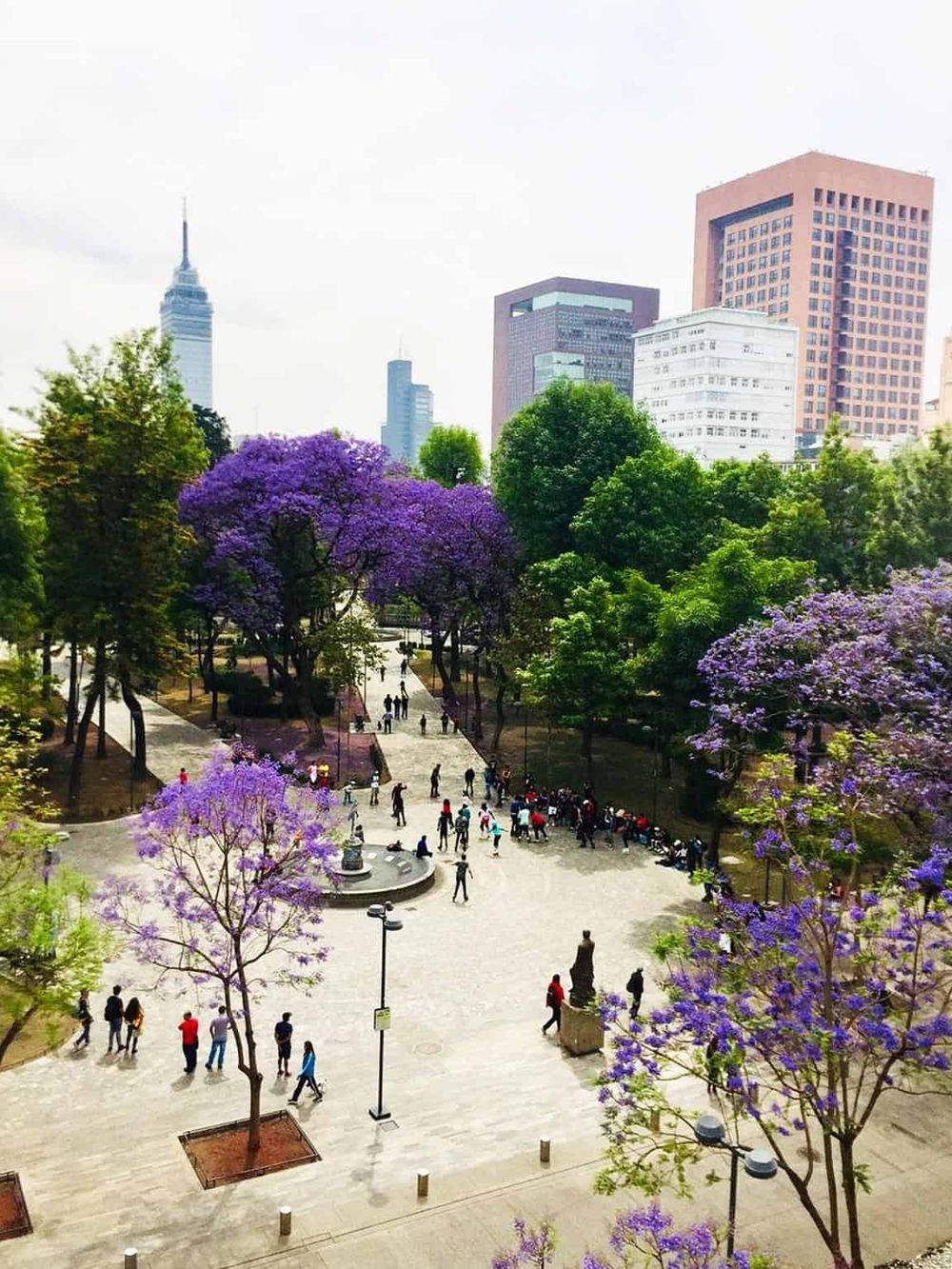 Vibrant city park with purple flowering trees and city skyline backdrop, ideal for outdoor activities and urban relaxation.