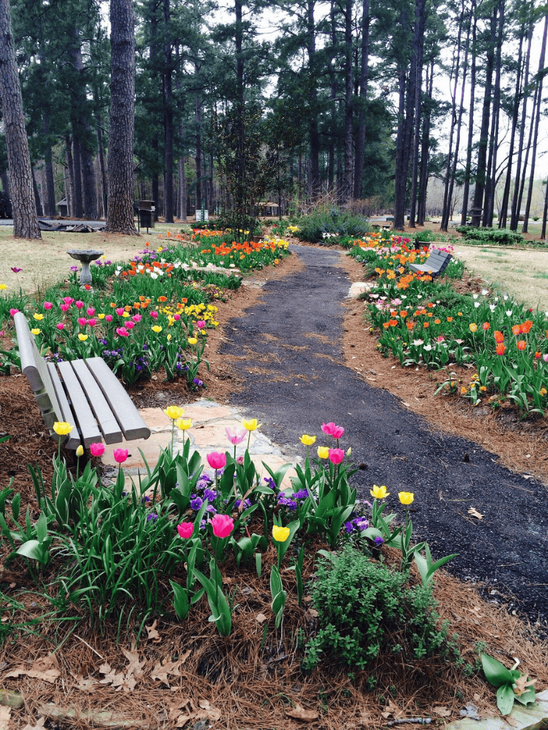Colorful flower garden along a winding pathway in a forest setting, peaceful outdoor park scene.