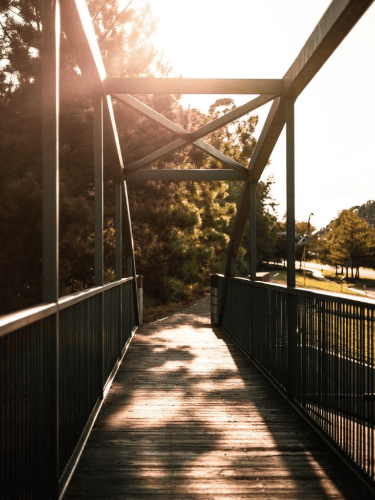 Aerial pedestrian bridge with sunlight filtering through trees, scenic park view.