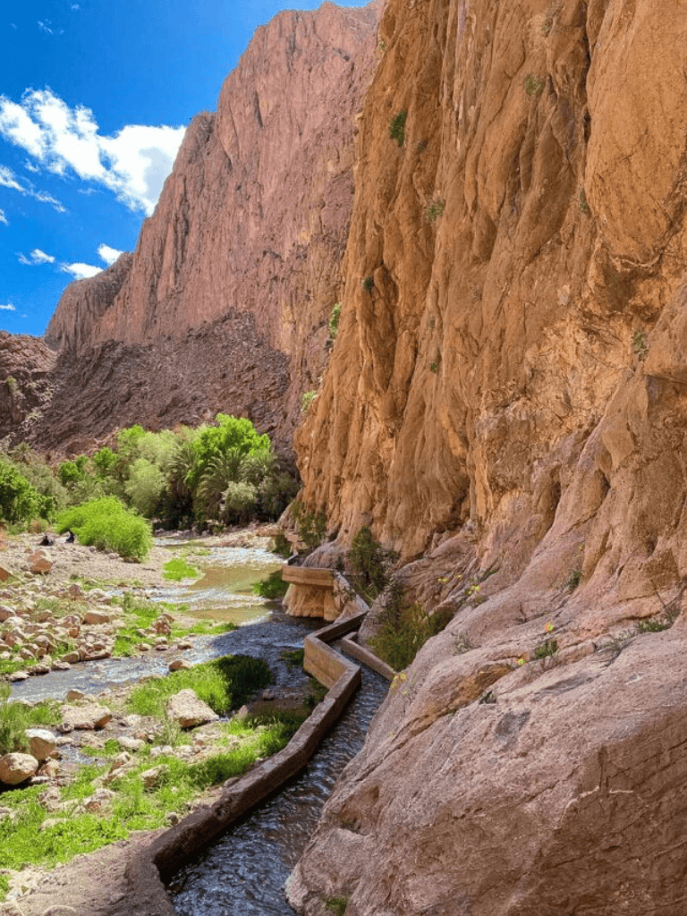Vivid canyon landscape with rocky cliffs, lush greenery, and a water trail in desert terrain.