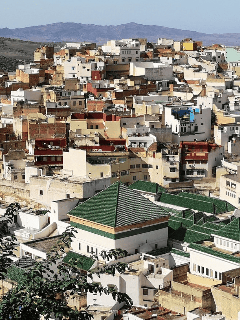 Colorful hillside cityscape featuring diverse residential buildings with a prominent white building with green roof, sunny sky, mountain background.