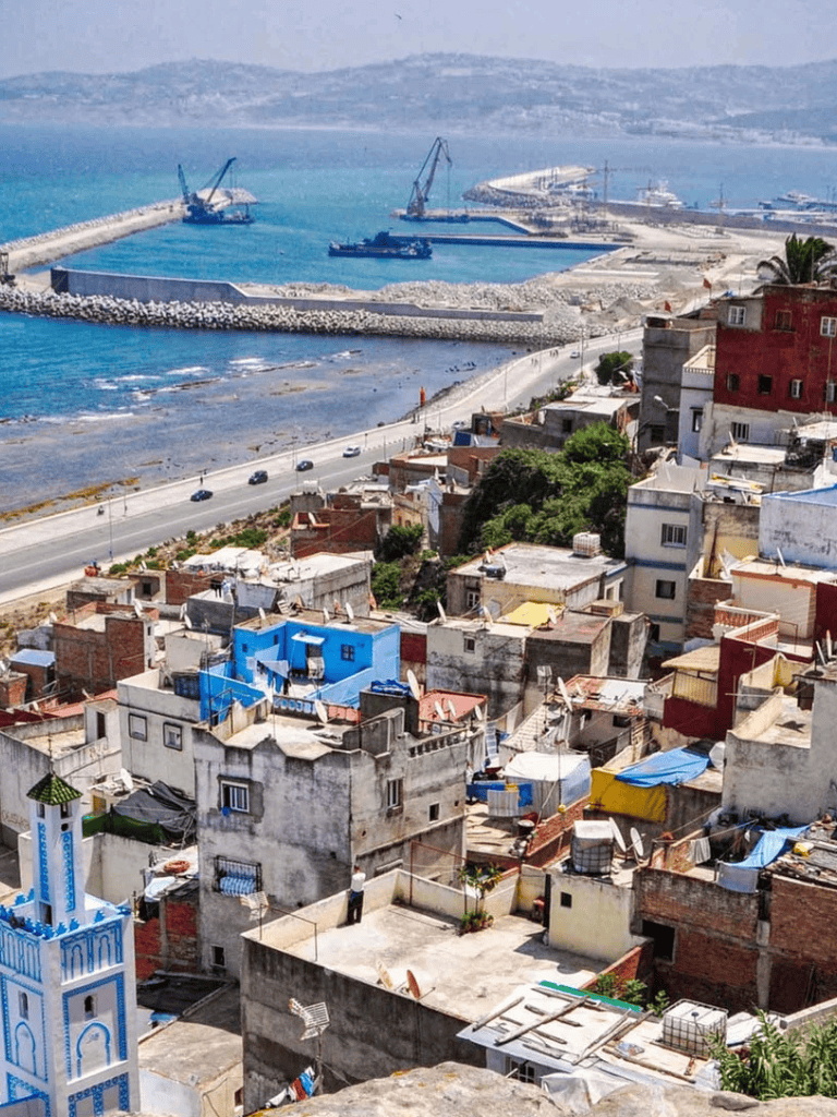 Cliffs from San Francisco overlooking colorful houses by the water, vibrant community, and lush greenery.