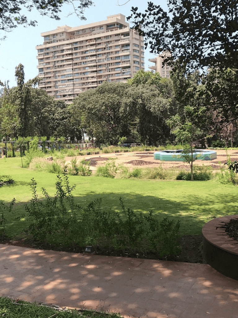 Lush city park with tall trees and modern residential building in the background.