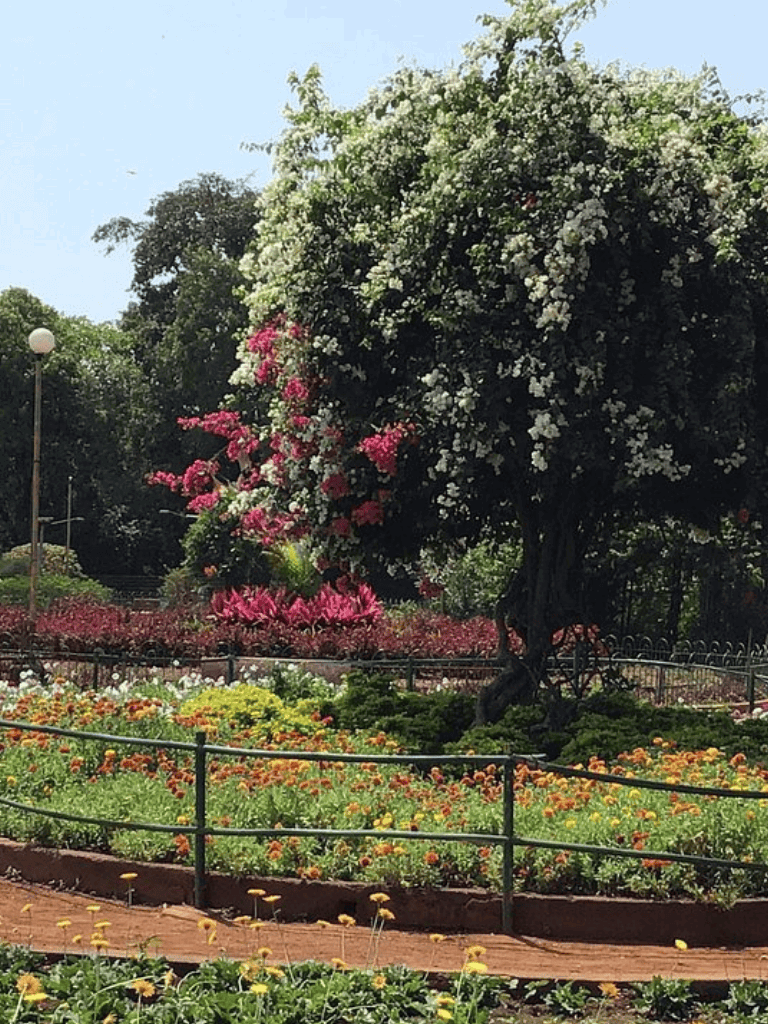 Lush garden with vibrant flowers and blooming trees, scenic outdoor community space.