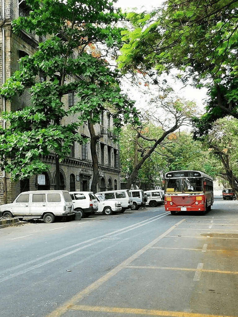 Vintage cars and a city bus on a tree-lined street in an urban setting with historic architecture, greenery, and parked vehicles.