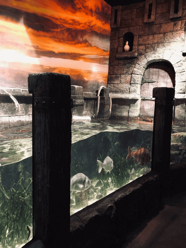 Colorful sunset sky over indoor aquarium with fish, stone architecture, and water feature for family fun.