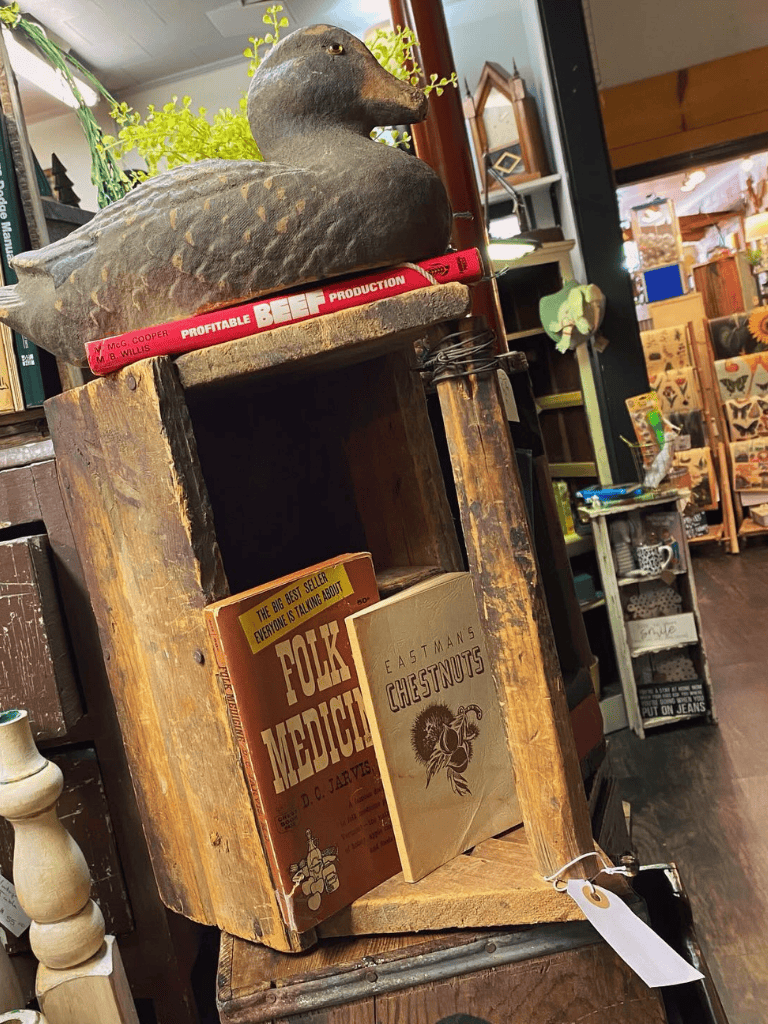 Vintage wooden shelf with antique duck decoy and old books on folklore medicine and chestnuts, in eclectic home decor.