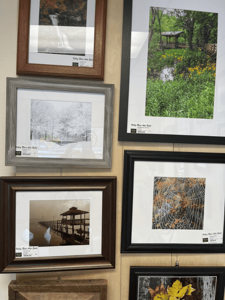 Vibrant nature photography featuring lush greenery and scenic landscapes at Valley River Art Guild.