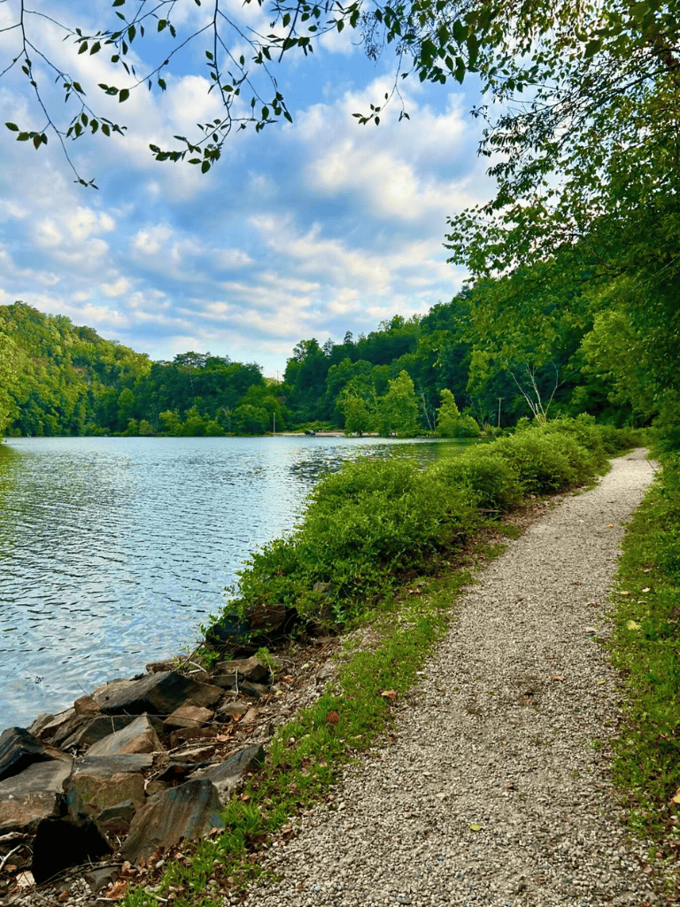 Peaceful lakeside trail surrounded by lush greenery and blue skies, perfect for nature walks and outdoor adventures.