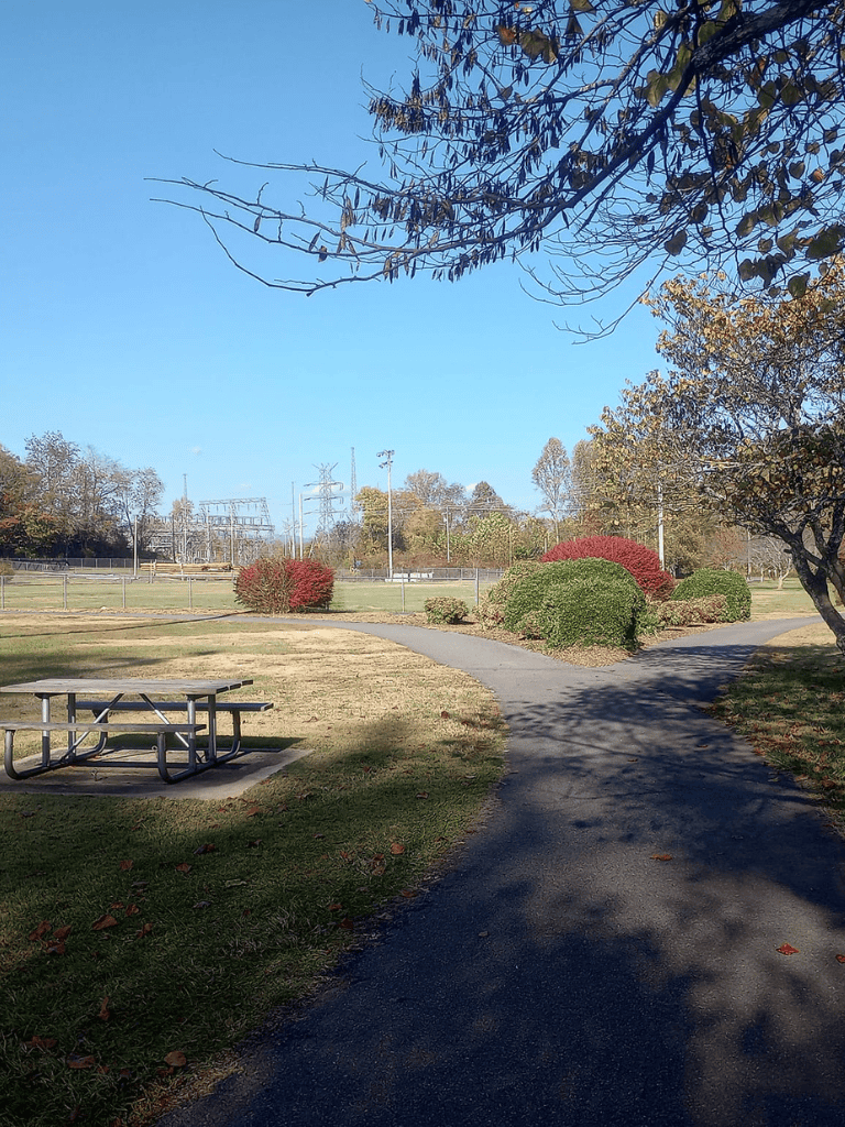 Empty park trail with trees and bushes, clear blue sky, and picnic table.