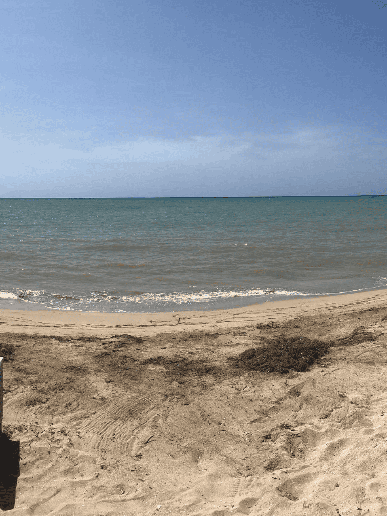 Serene beach scene with clear ocean water and sandy shore, perfect for seaside relaxation.