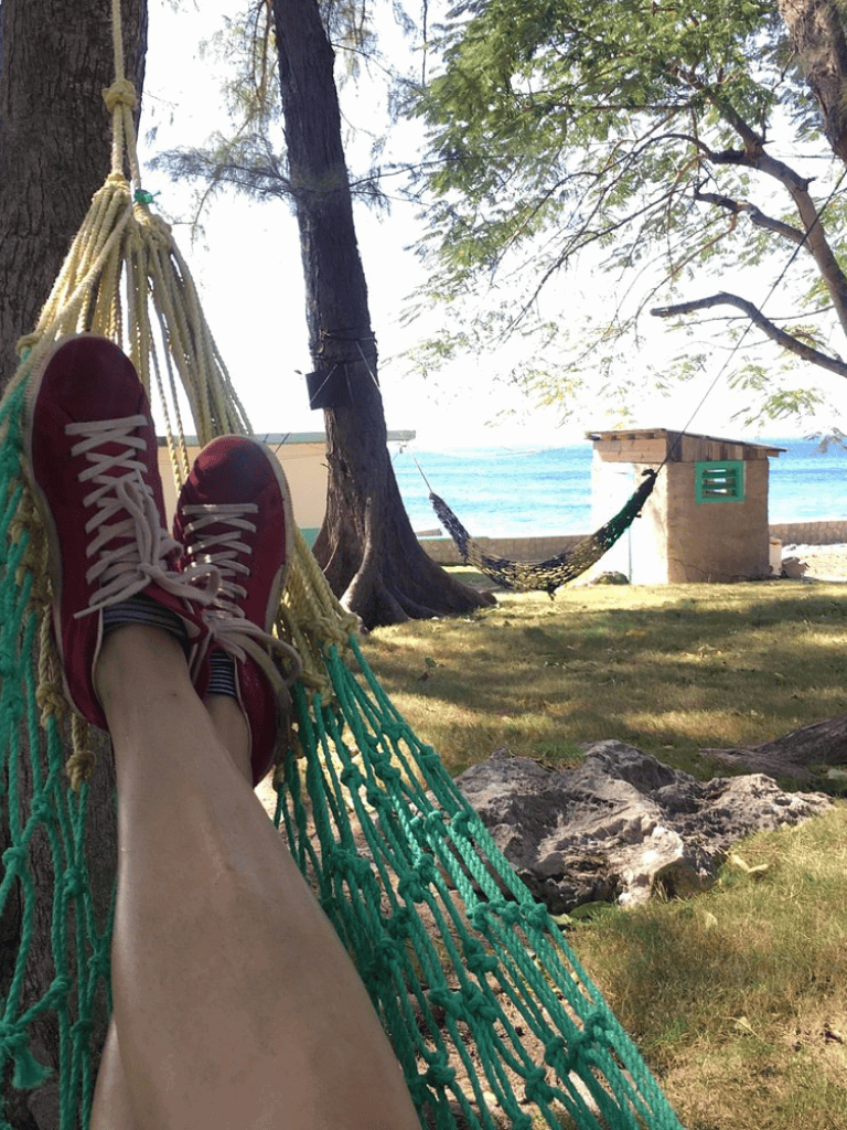 Relaxing hammock at seaside park, scenic view of water, trees, and a hammock in nature.