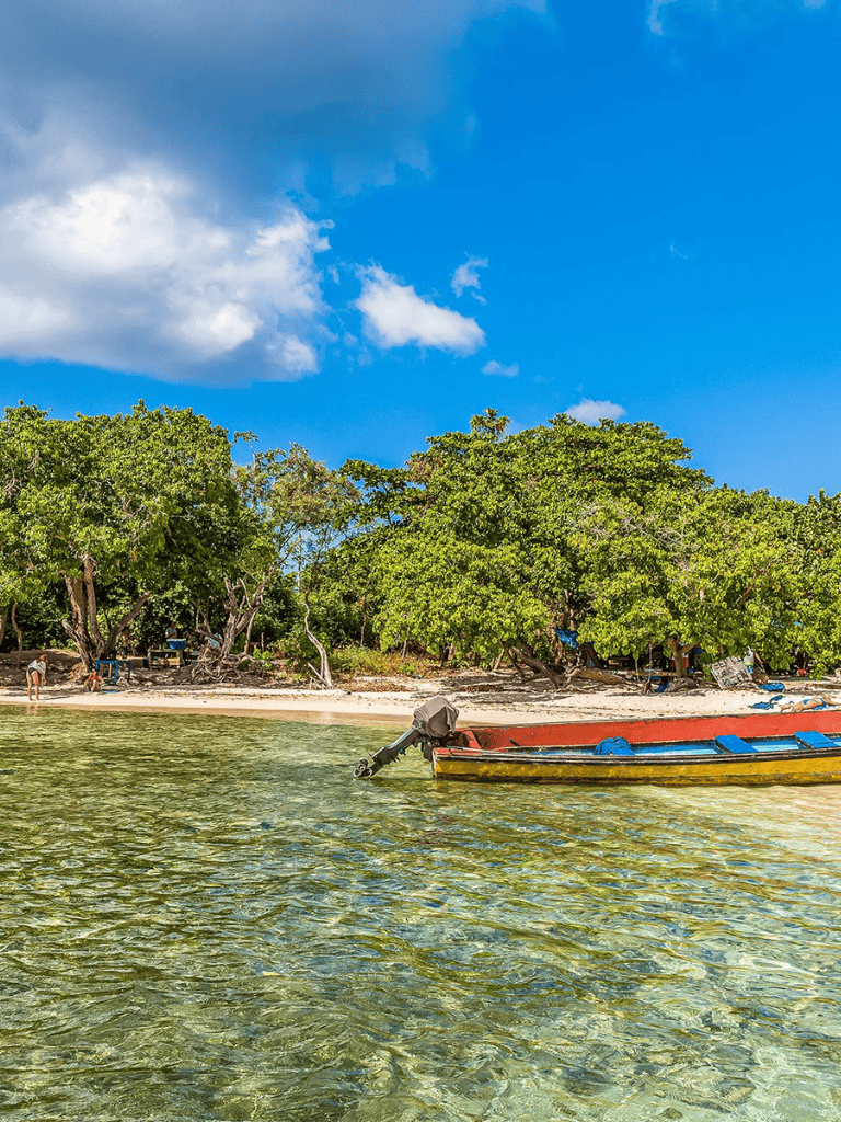 Serene tropical beach with clear water, lush greenery, and a bright blue sky, ideal for seaside adventures.