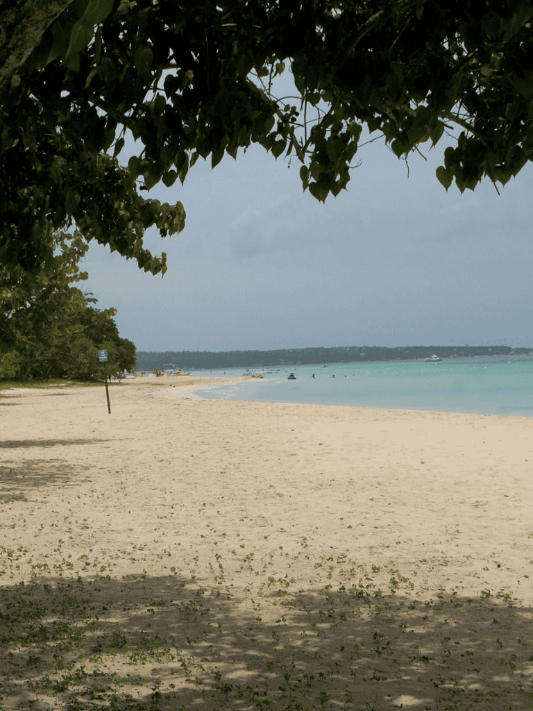 Serene beach with sandy shore, lush trees, and calm ocean, perfect for relaxation and seaside adventures.
