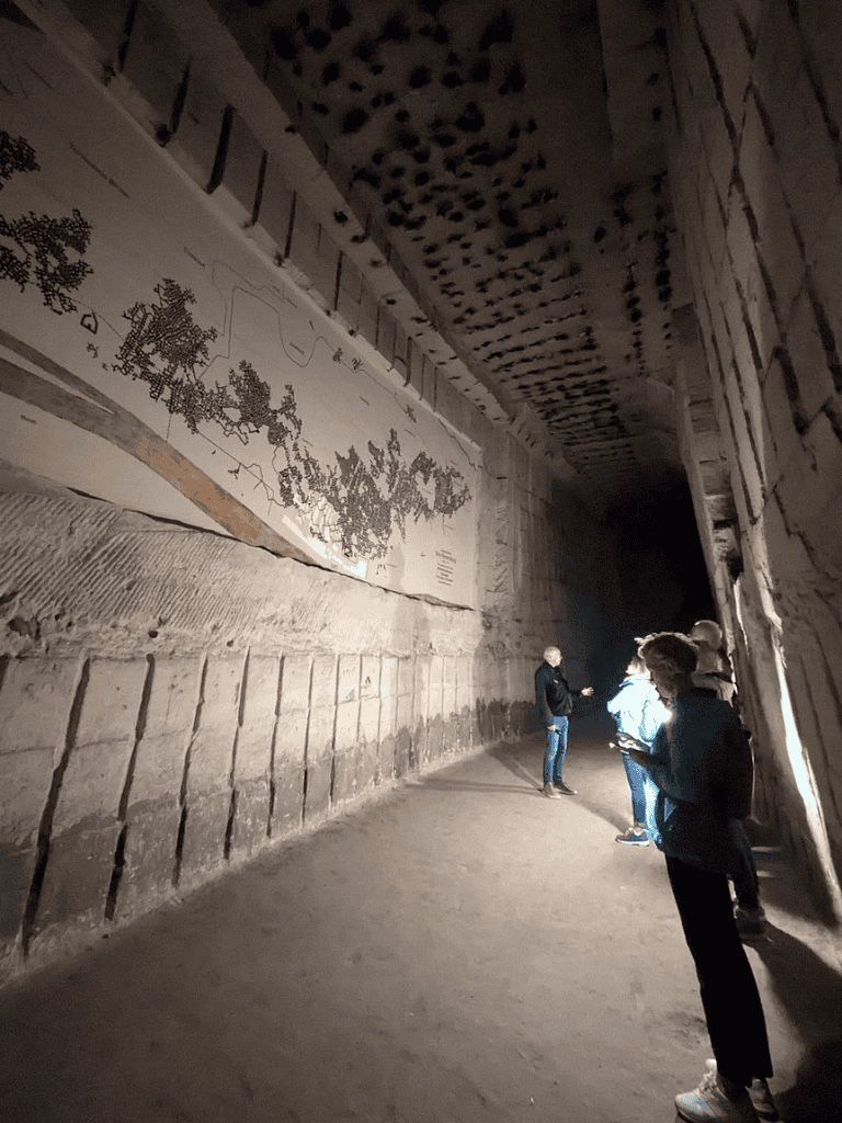 Ancient cave tour with guided visitors exploring historical carvings and murals underground.