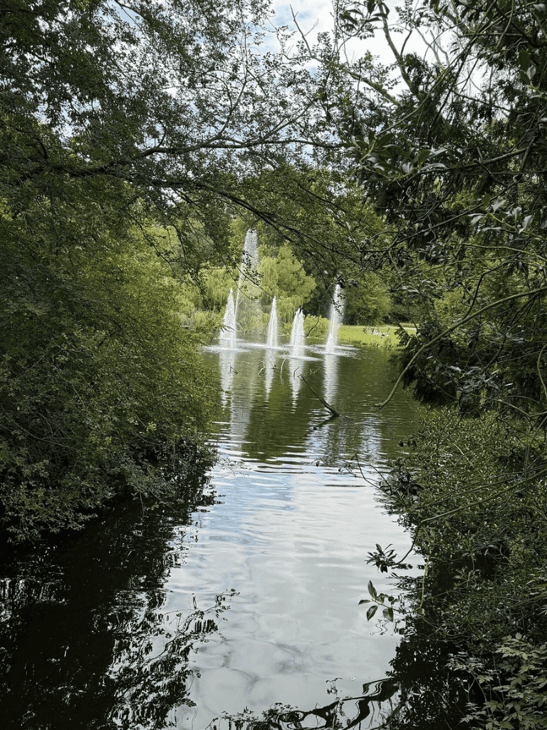 Serene park fountain with water jets surrounded by lush greenery, perfect for nature walks and outdoor relaxation.