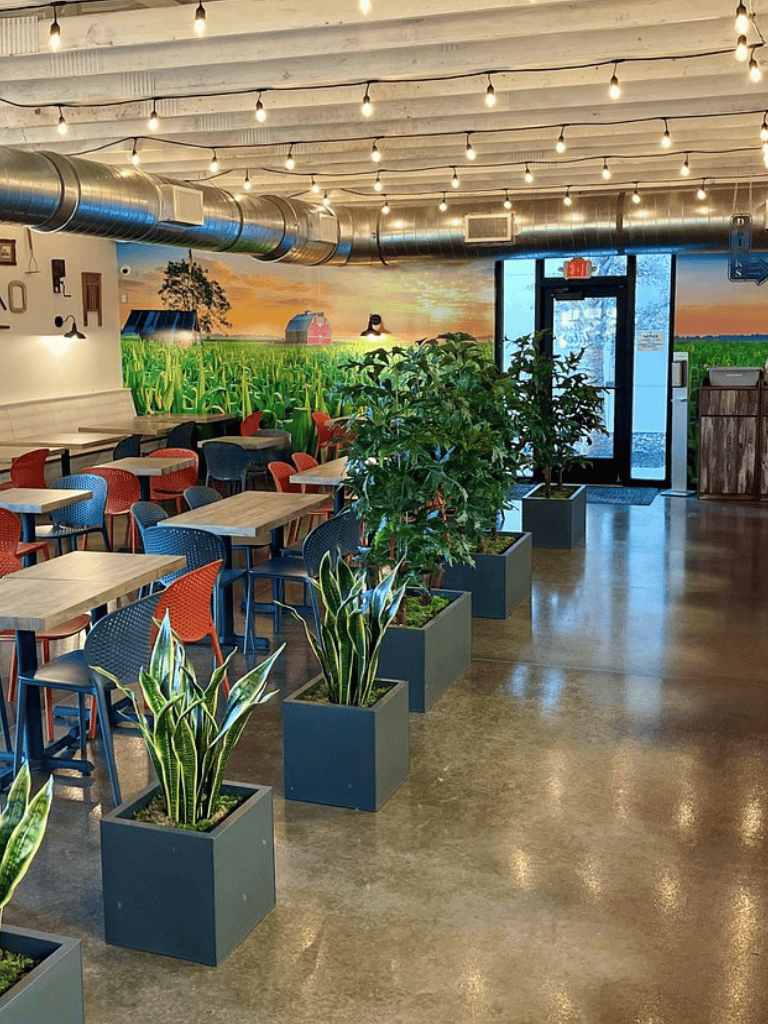 Lush indoor space with vibrant plants, cozy seating, and farm-themed wall mural at QuestForDirections.