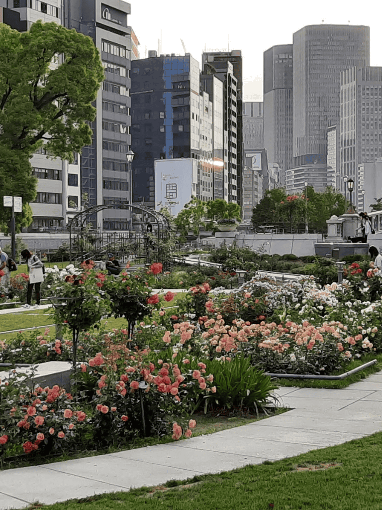 Colorful rose garden in city park with skyscrapers and people walking, urban outdoor space.