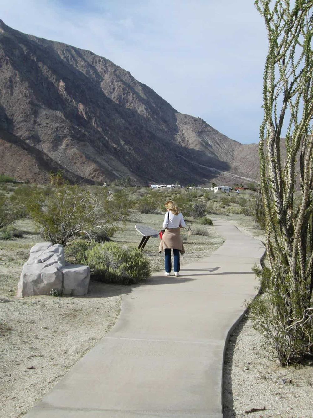 Desert trail with scenic mountains, perfect for outdoor exploration and adventures.