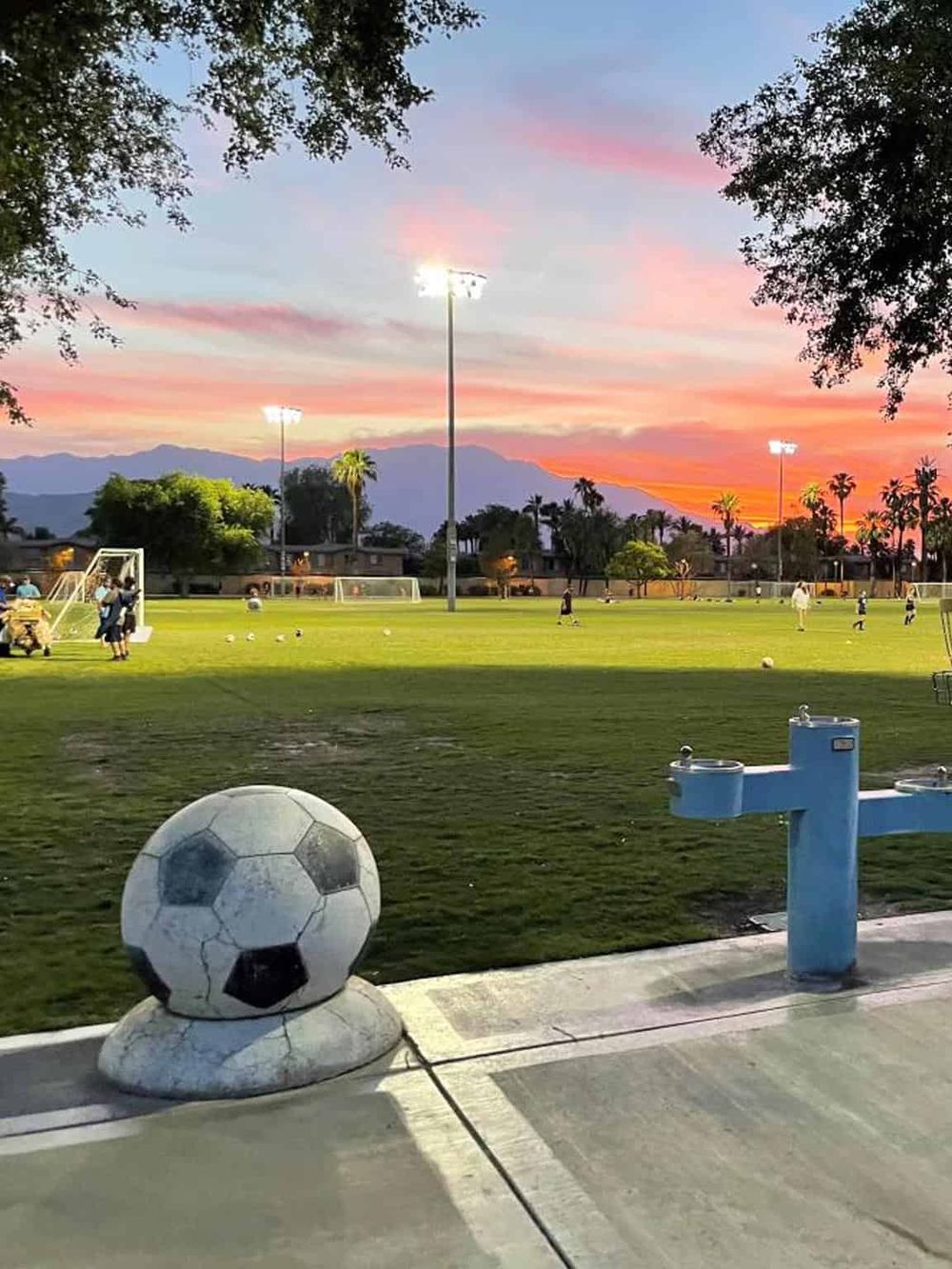 Soccer field at sunset with mountains, trees, and sports equipment in a scenic outdoor setting.