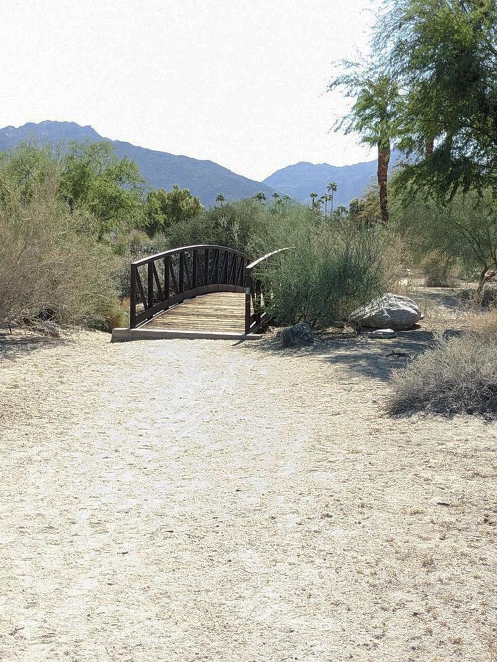 Serene desert trail with small wooden bridge, lush green bushes, and mountains in the background for outdoor adventure seekers.