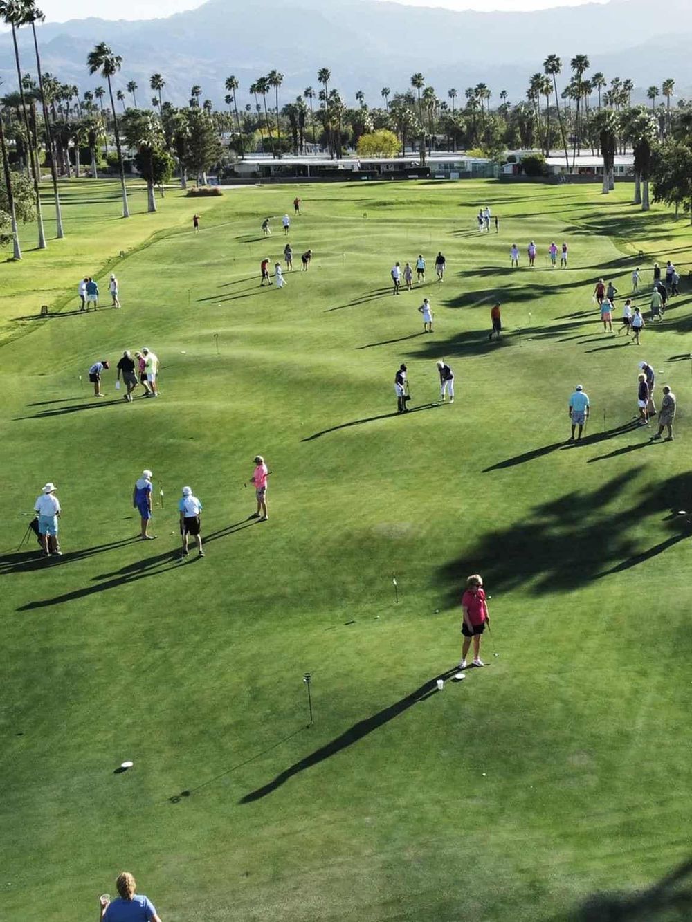 Golf course with people practicing putting and golfing, palm trees, and mountain views in the background.