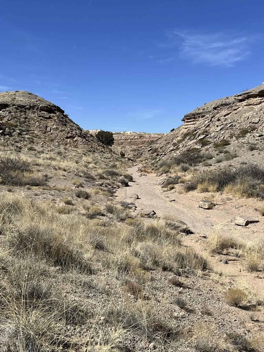 Dirt trail in a desert canyon with rocky cliffs and sparse vegetation under a clear blue sky.