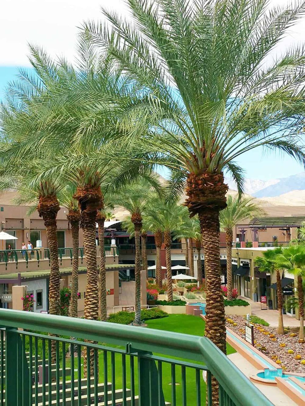 Lush palm trees in a modern outdoor shopping and dining area with vibrant greenery and mountain views.
