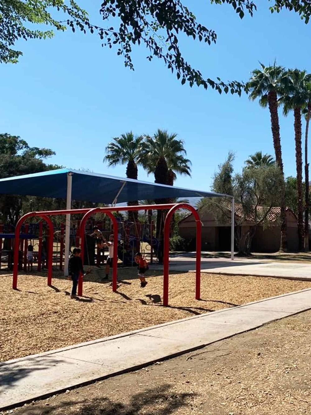 Bright sunny park with a kids' swing set and palm trees, showcasing outdoor play areas and family-friendly environment.