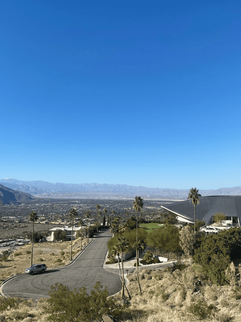 Modern desert landscape with palm trees and mountains in the background.