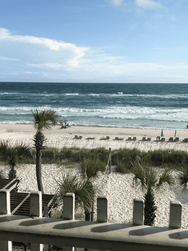 Beach scene with palm trees and ocean waves, sunny sky at QuestForDirections.