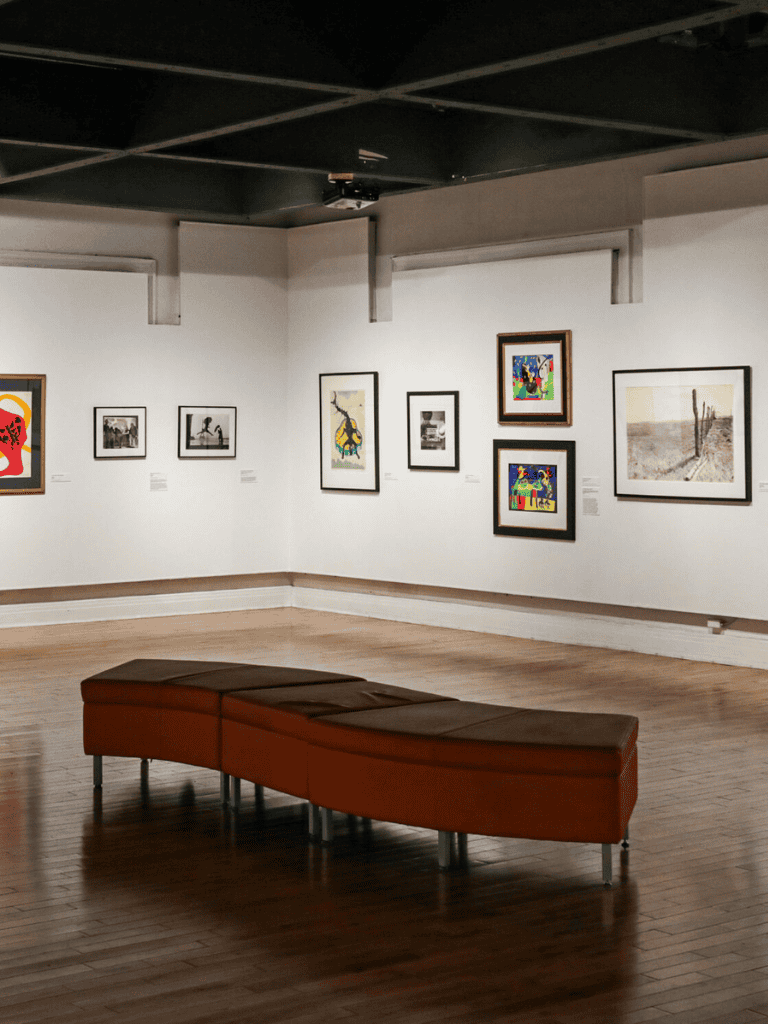 Modern art gallery interior with framed artworks on white walls and a leather bench in the center.