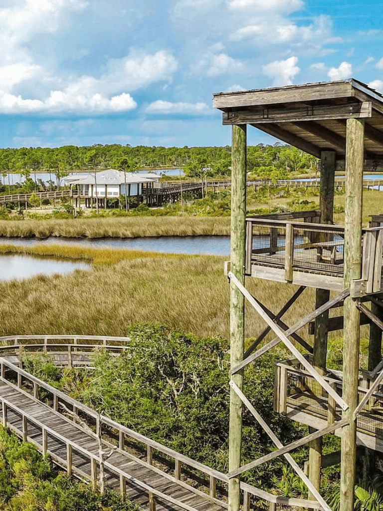 Elevated wooden walkway overlooking marshland and water views in a scenic nature reserve.