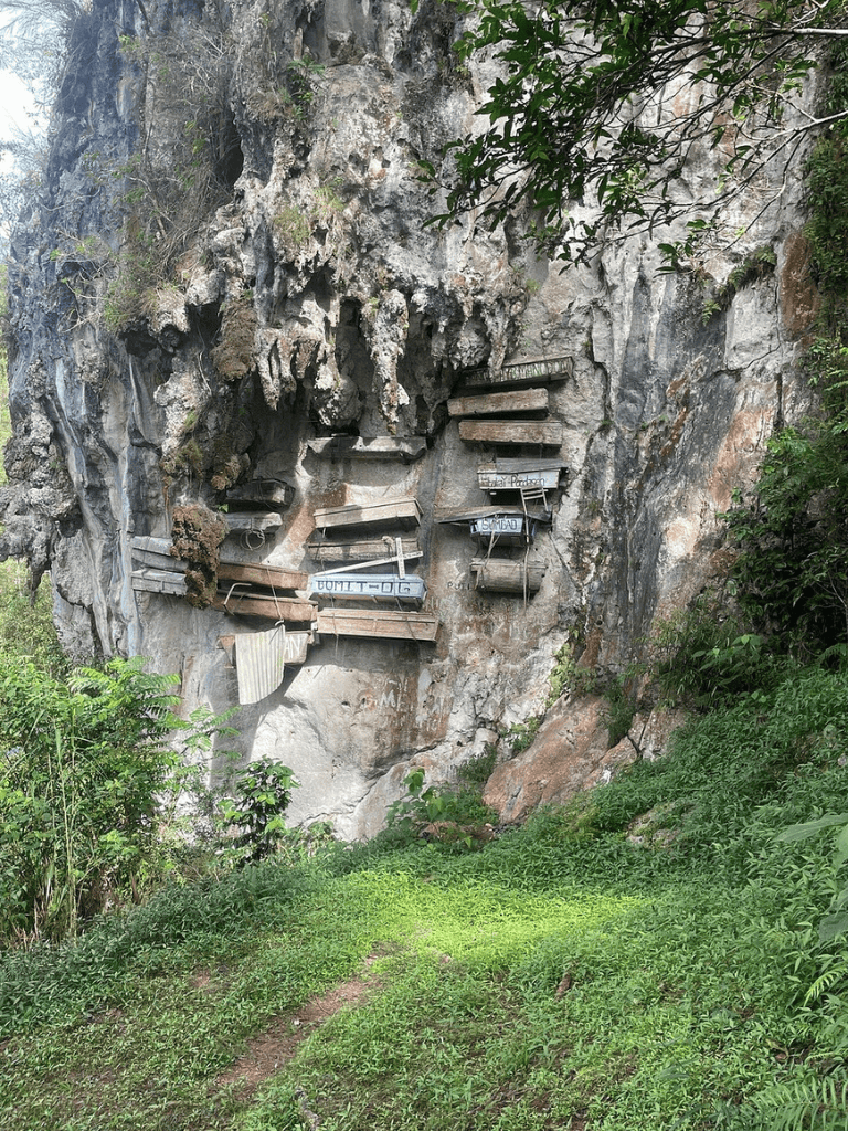 Uneven stone stairs built into cliffside with lush greenery in this adventurous outdoor setting.