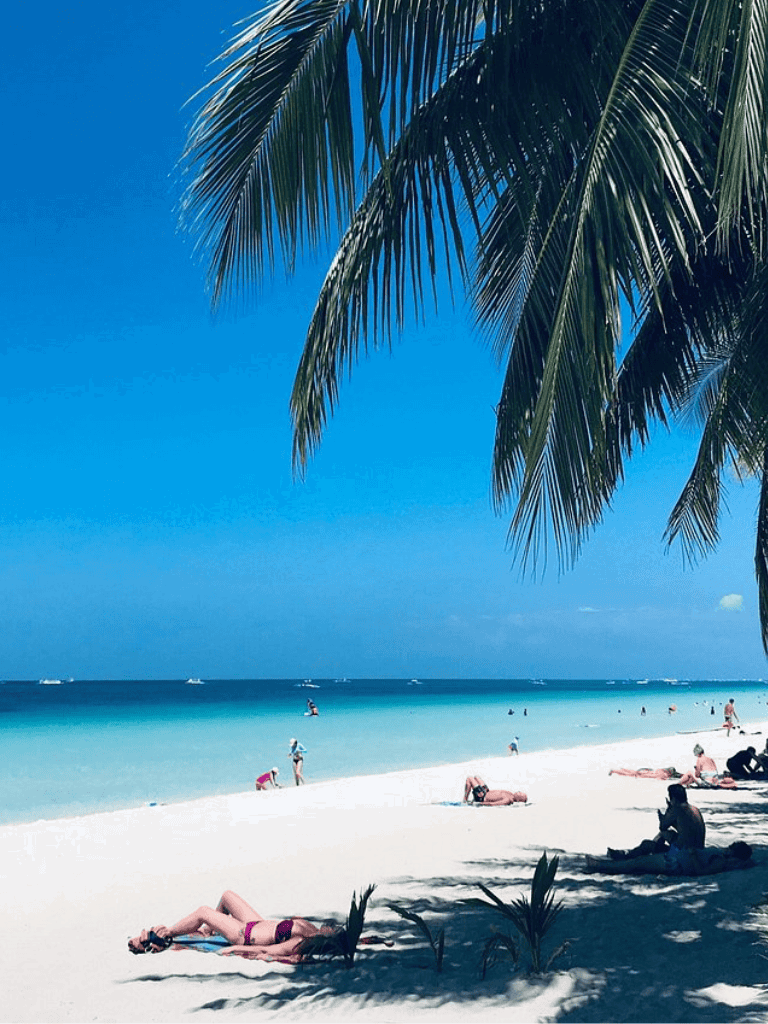 Relaxing tropical beach scene with palm trees and clear blue water.