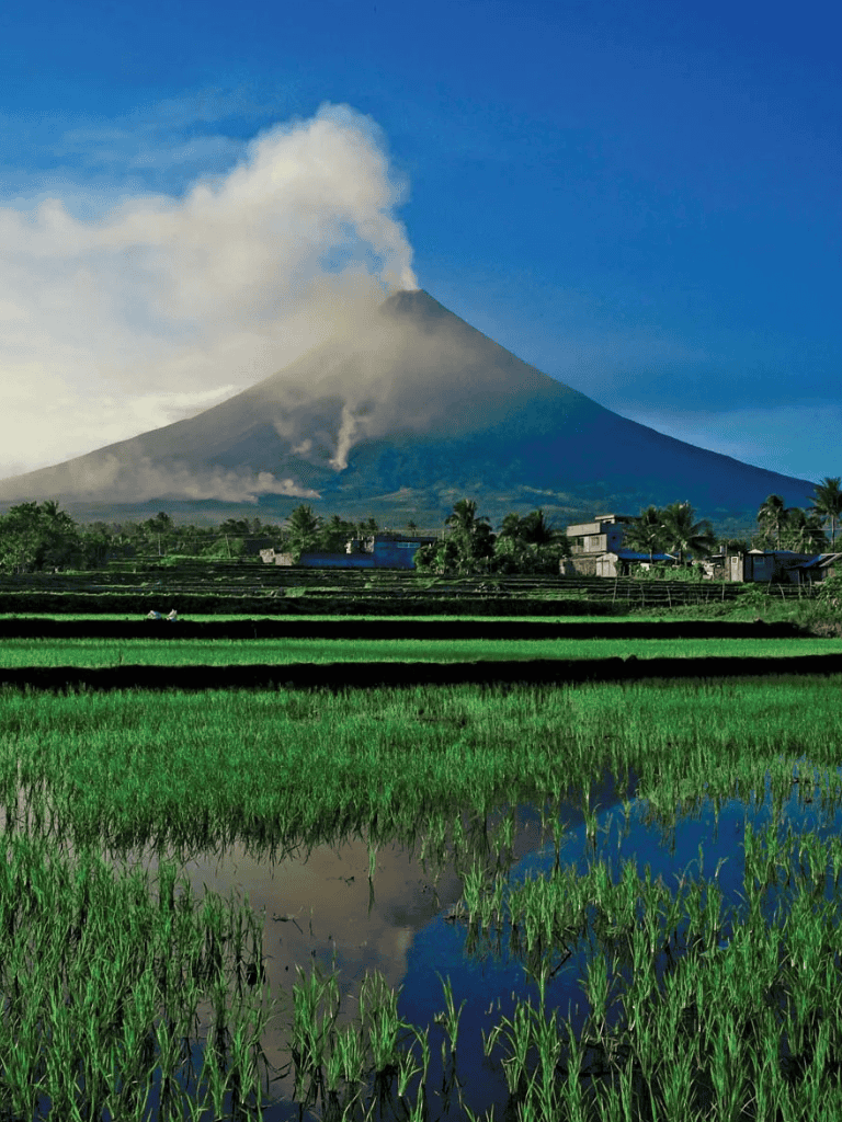 Lush green rice paddies with erupting volcano in the background, scenic rural landscape, perfect for travel guides.