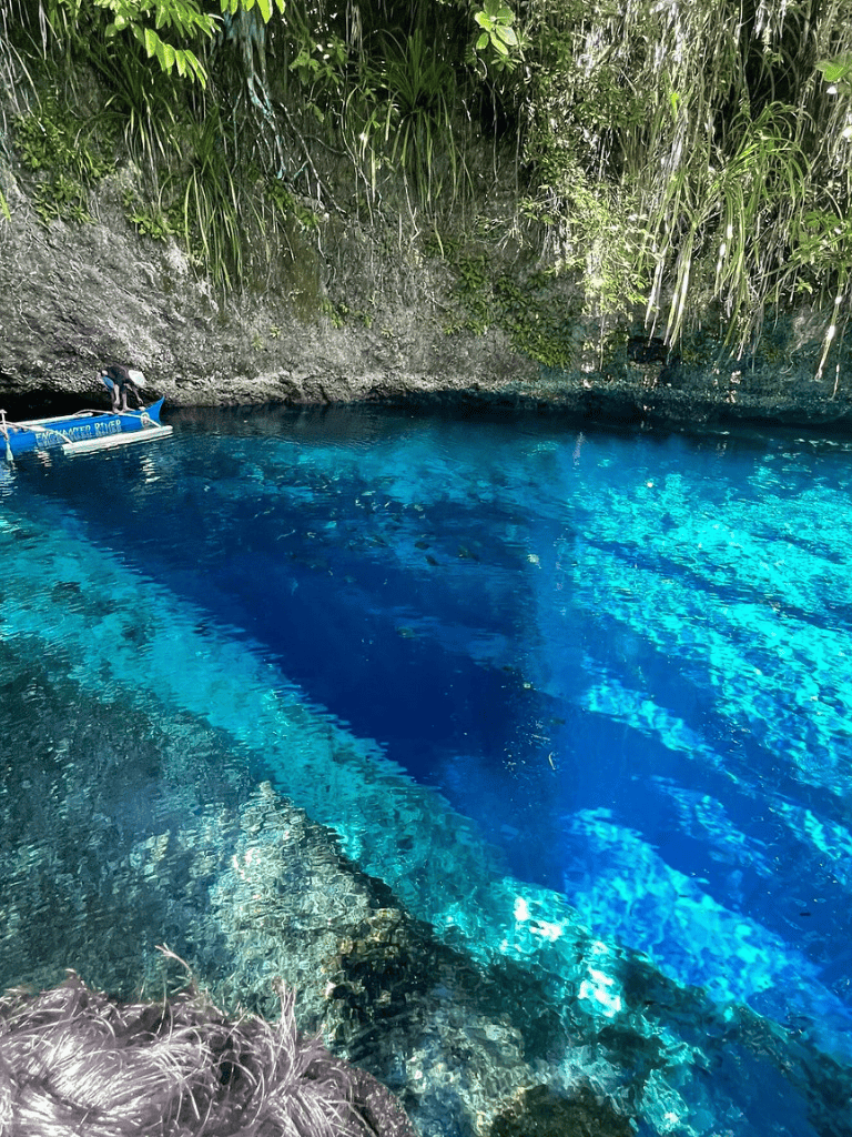 Clear cenote water with lush jungle surroundings, popular for swimming and adventure excursions.