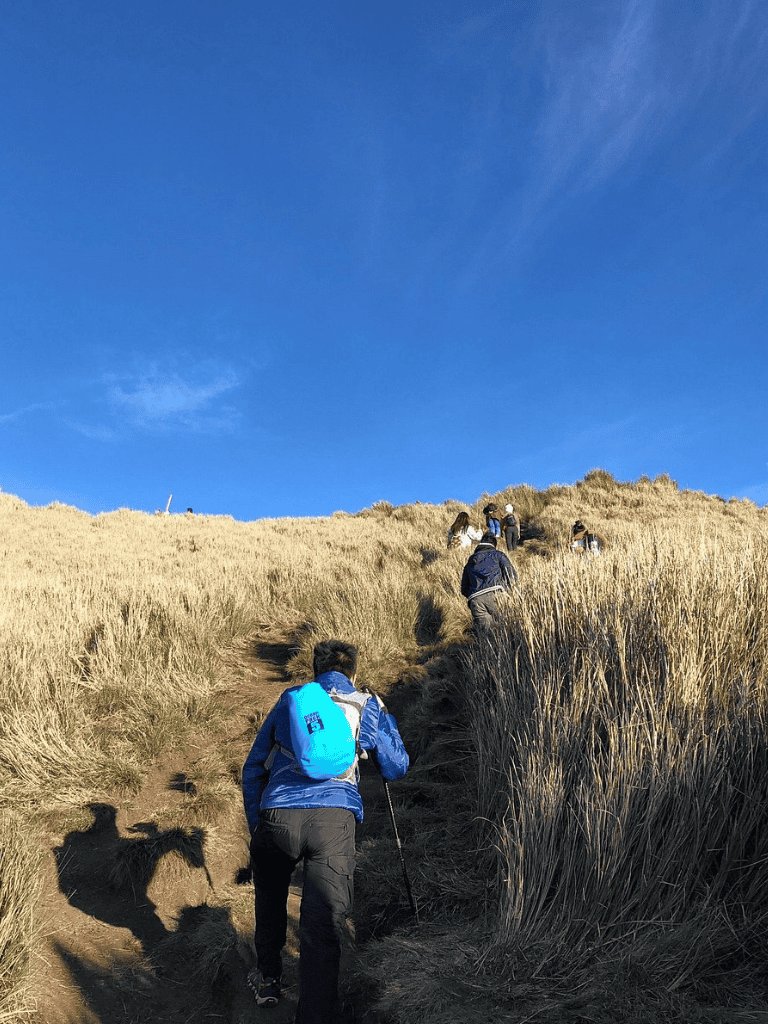 Climbing mountain trail with hikers in golden grass under blue sky.