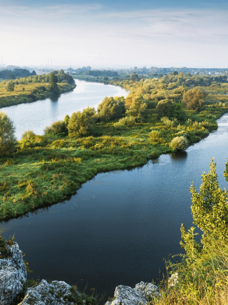 Serene river landscape with lush greenery and trees along the water's edge, perfect for outdoor navigation and scenic exploration.