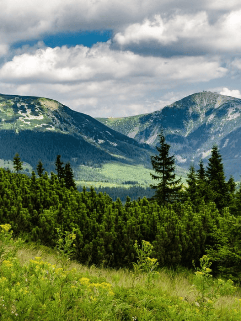 Lush green mountain landscape with dense forests and dramatic cloudy sky.