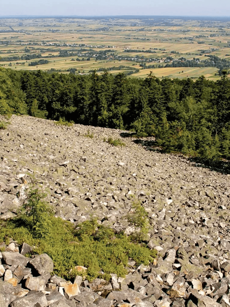 Rugged rocky landscape with forested hillside and expansive farmland in background.