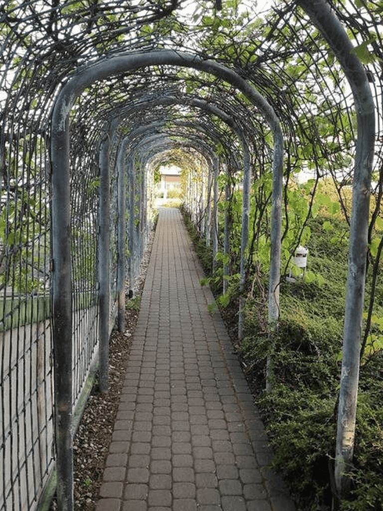 Delightful garden archway tunnel with lush greenery for scenic walkways and outdoor gardening.