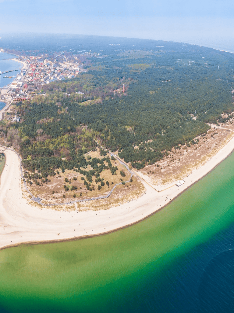 Aerial view of coastal park with sandy beach, green waters, and forested area in the background.