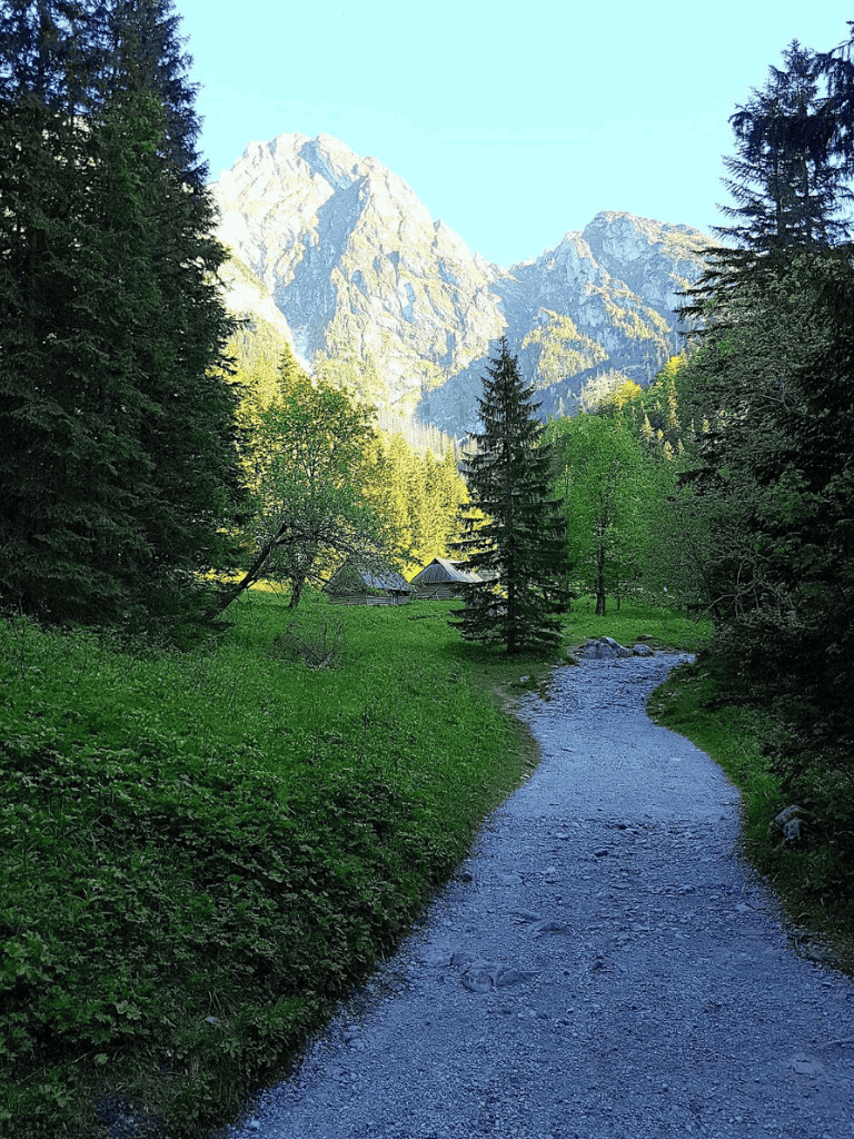 Serene mountain trail surrounded by lush trees and towering peaks, perfect for scenic outdoor adventures.