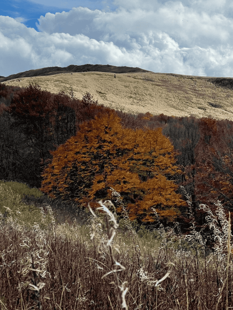 Vibrant fall foliage with colorful trees and rolling hills in scenic mountain landscape.
