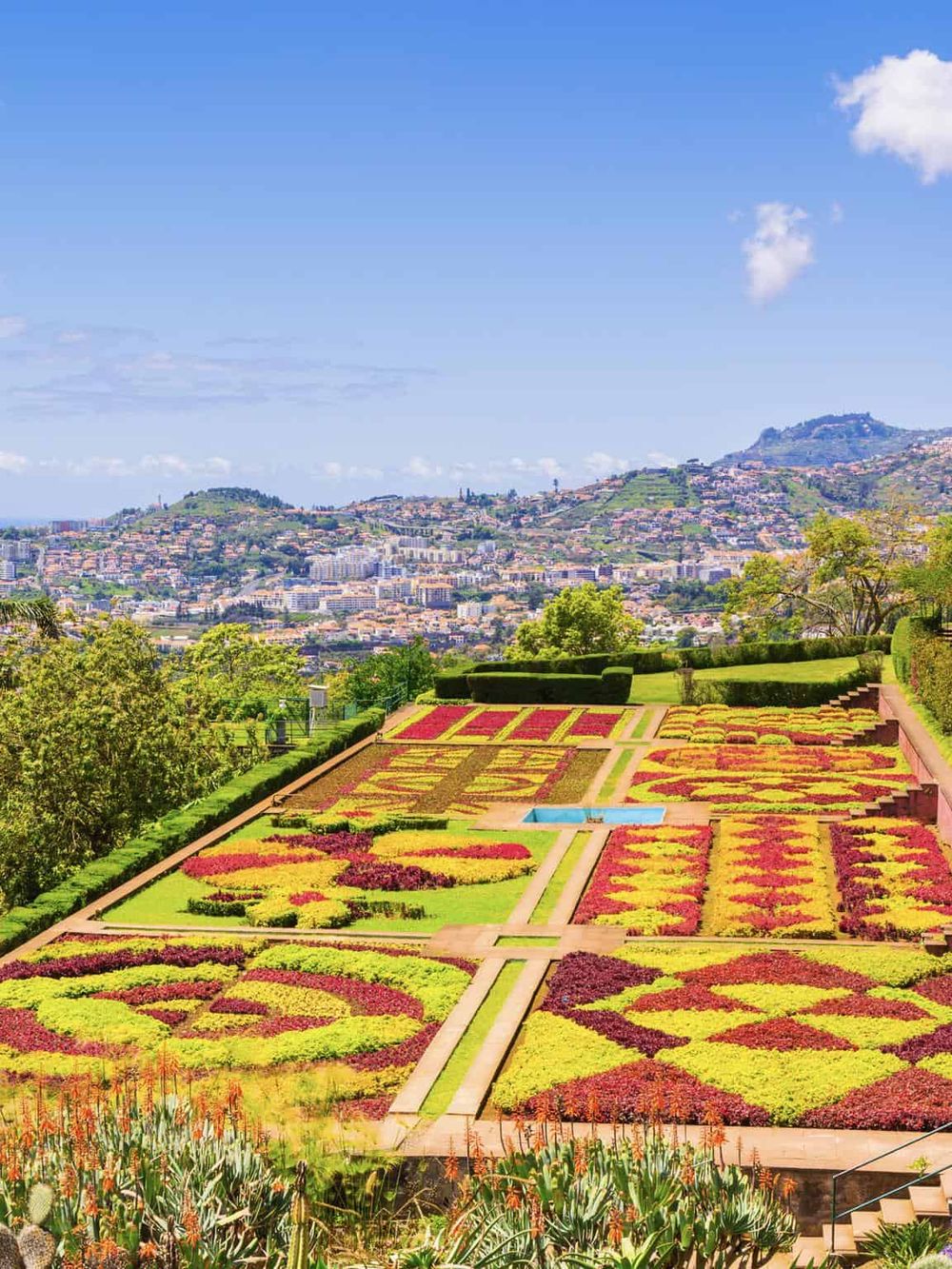 Colorful botanical garden in San Francisco with cityscape background, vibrant flower beds, and scenic hillside views.